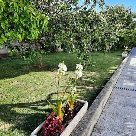 Atico En Con Jardin